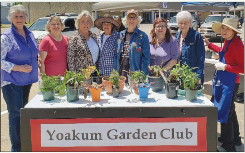 Yoakum Garden Club holds plant sale