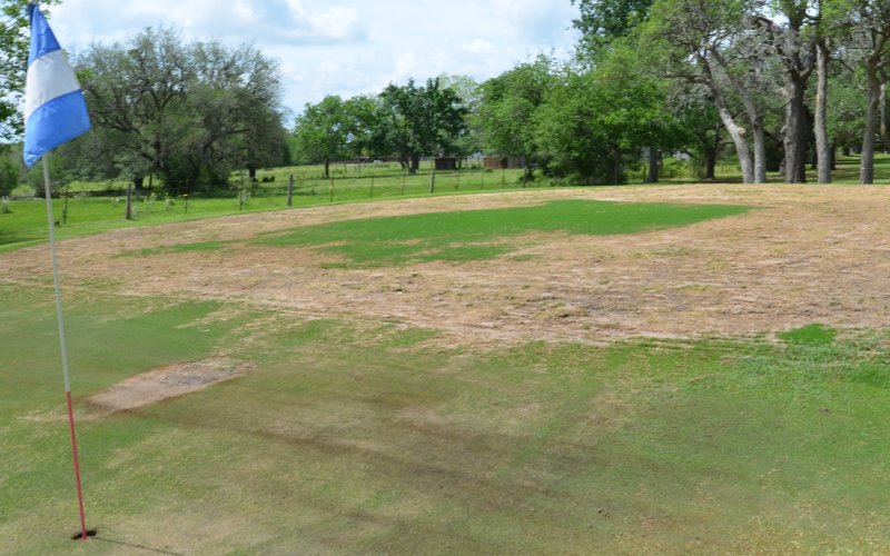 The green on hole seven at the Yoakum Municipal Golf Course is sparse with grass.