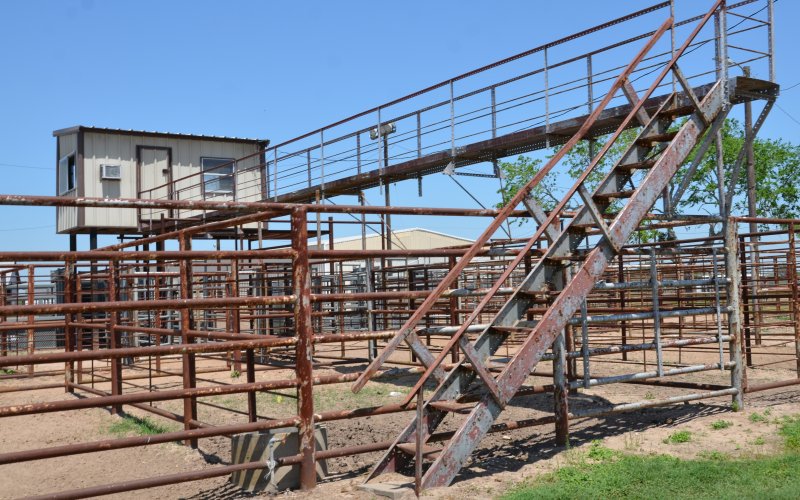 A group of five looking to improve the Yoakum Rodeo Arena had discussed their plans with the Yoakum City Council at each month’s regular meeting since March.