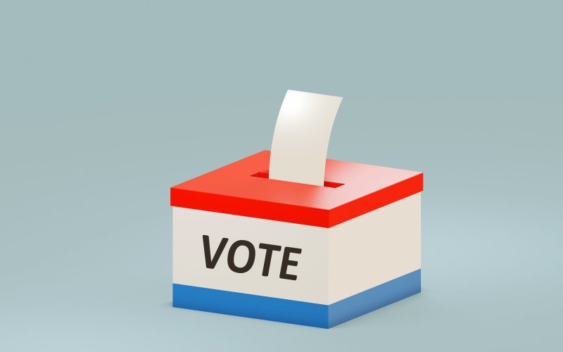 The 2022 Gubernatorial Primary Runoff Elections are Tuesday, May 24, with early voting occurring between May 16 and May 20 in Lavaca and DeWitt Counties. Courtesy Photo.