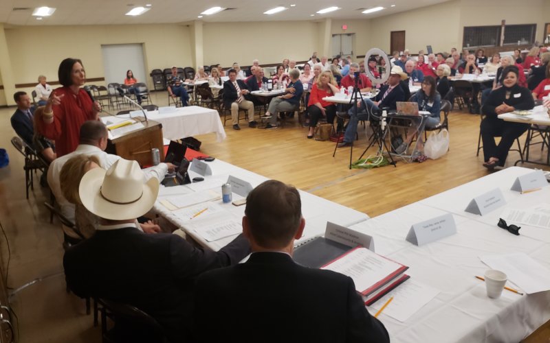 Texas State Sen. Lois Kolkhort speaks to a Yoakum crowd gathered fora Senate District 18 meeting in 2021. Both Kolkhorst and Myra Flores' Congressional District 34 will share a few of the same counties in Texas.
