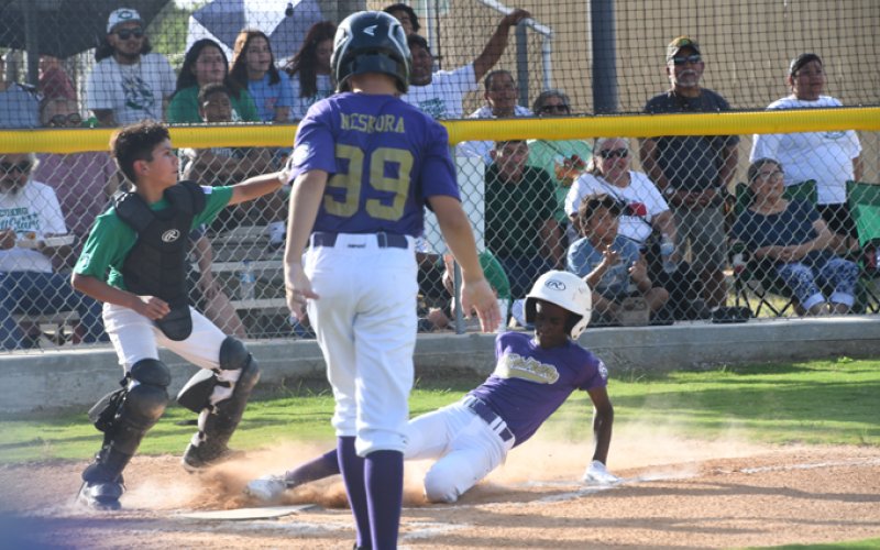 Shiner MaJor Baseball vs Cuero on Friday. Photo by Mark Lube.