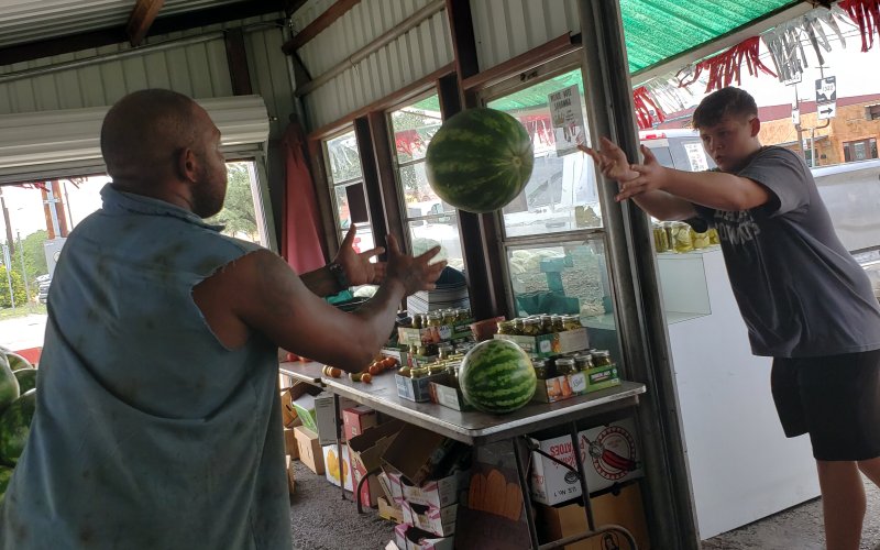 Thes boys know about thumping a melon, and watch for them in the Grower's Big Melon Contest on Thursday evening.