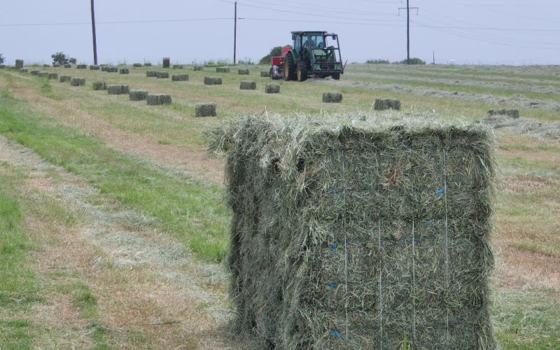 The Bale Baron Bundler makes short work of hauling hay.