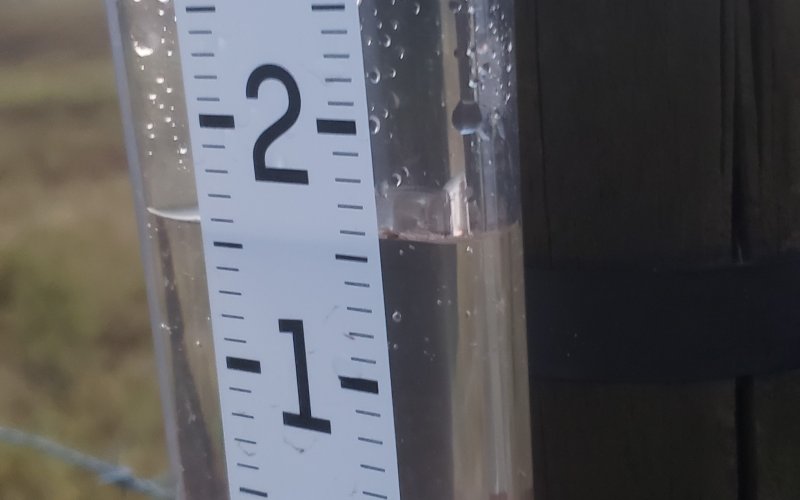 Call it an inch and five 10ths of blessings that fell on a few in Lavaca County this week, as late June storm clouds remain in the forecast for at least another day or two. Here's hoping everyone sees their share of the wet stuff...