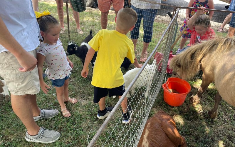 Petting zoo
