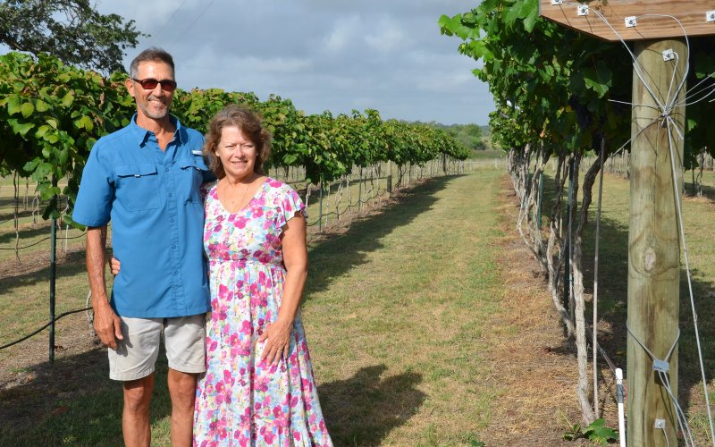 Bruce and Angela McConnel pose in front of the vineyard on their family ranch Friday July 22.