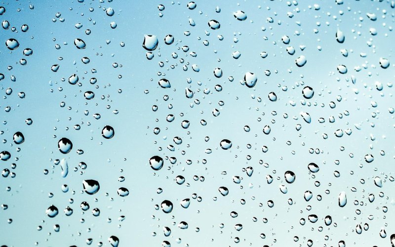 Texas A&amp;M AgriLife Extension Service‘s Healthy Lawns and Healthy Waters Program will host a residential rainwater harvesting and turf management training on Friday, July 8 for Jackson and Lavaca counties.Courtesy photo