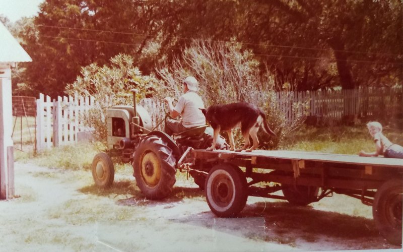 File Photo