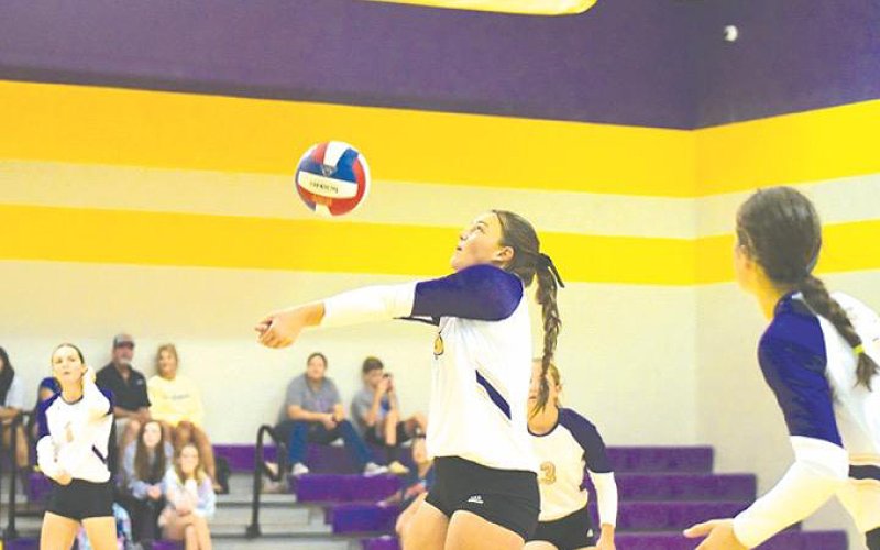 Chelsea Whiddon with dig in Shiner's sweep of Sacred Heart. Photo by Chuck Grafe.
