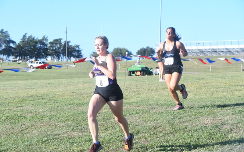 Molly Kollaus. Shiner