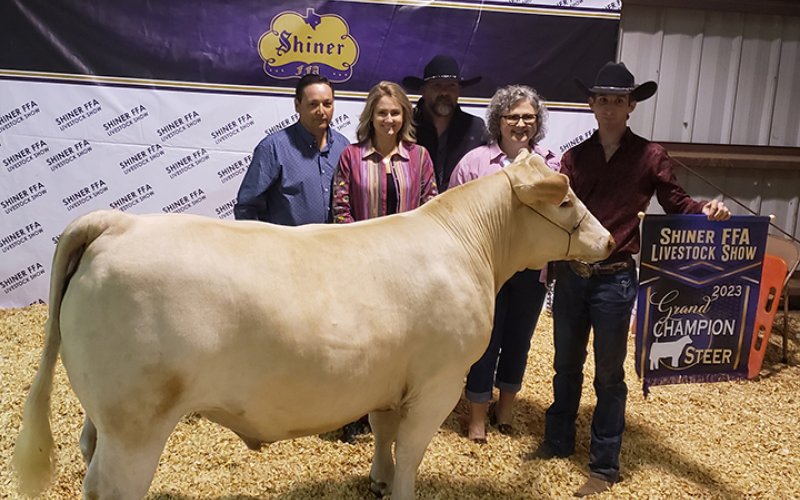 Grand Champion Steer - exhibited by Shawn Haas Liska