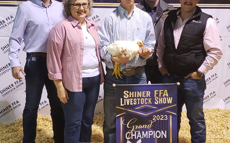 Grand Champion Broilers - exhibited by Cale Shows