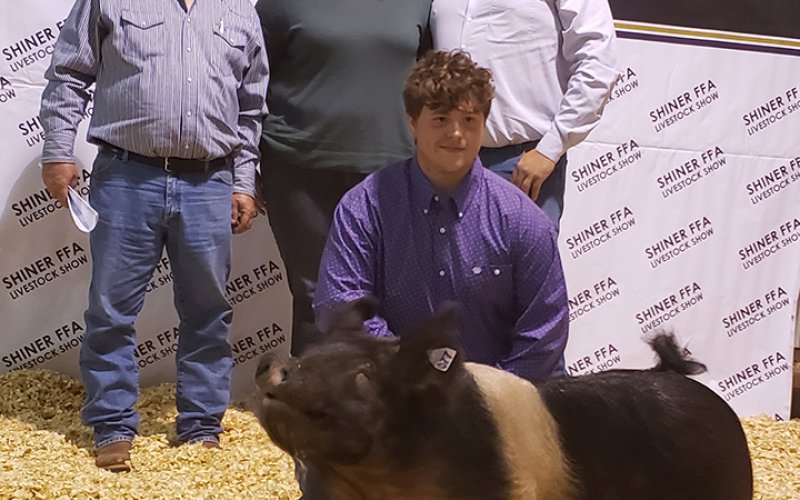 Grand Champion Hog - exhibited by Kasey Borel