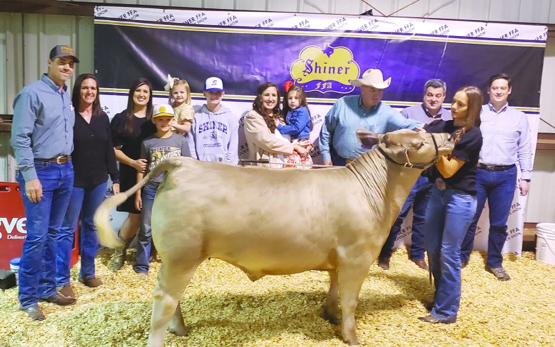 Reserve Champion Steer - exhibited by Erin Pustka