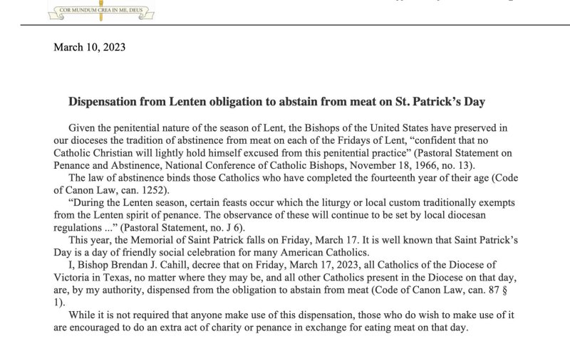 The letter from Bishop Brendon Cahill, which reads quite similarly to the ones circulated in Austin and San Antonio dioceses as well.