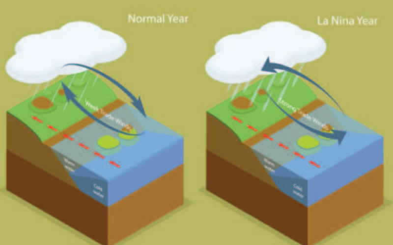 Gulf coast enters a "near normal" hurricane season