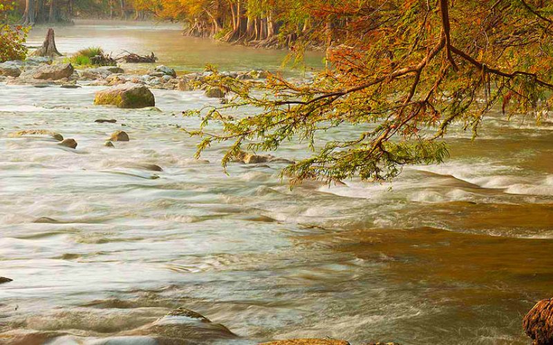 Guadalupe River State Park - Texas Parks and Wildlife Photo