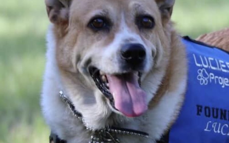 Lucie was quite the character to those of you who had the honor of knowing her.