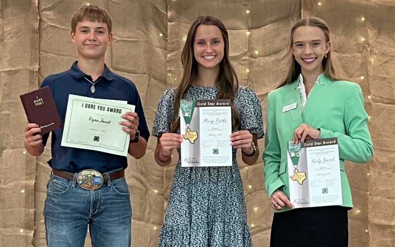 Lavaca County 4-H Award recipients: left to right, Ryan Janak (I Dare You); Macey Pustka (Gold Star), and Keely Knesek (Gold Star).