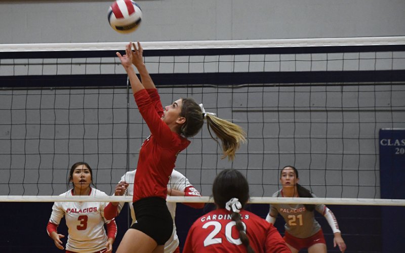 Lady Cardinal junior Dallyn Pesek sets a ball during St. Paul’s Rice Tournament match against Palacios on Thursday afternoon. Photo by Mark Lube.