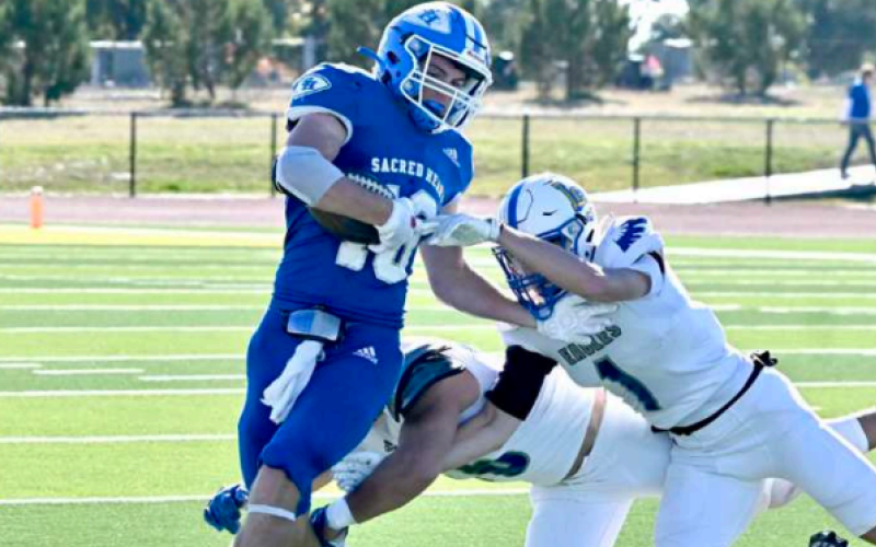 Brady Haas tries to elude the Eagles Drew Claussen.Melissa Kutac/Tribune-Herald