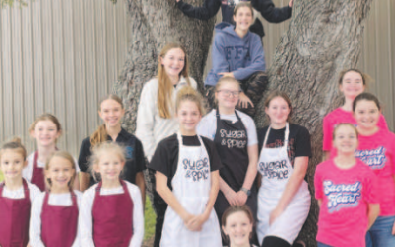 Fifteen members of Lavaca County 4-H participated at the District 11 4-H Food Challenge Competition. Pictured are the Cooksters, Sugar-N-Spice, Souper Friends, and the Saute’ Brigade. Contributed photo.