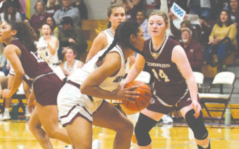 Macy Herring protects the basketball after her 1,000th rebound and teammate Kenedy Wood (background) is excited. Chuck Grafe/Tribune-Herald