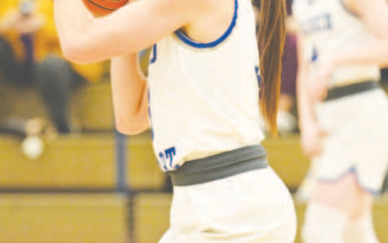 Aleigh Kraatz averaged 7 steals and 6 assists a game in victories over Concordia Waldorf. Chuck Grafe/Tribune-Herald