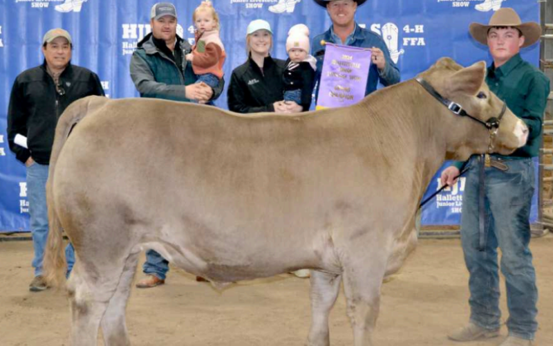 Lane Leopold’s Charolais cross steer was named Grand Champion at the 61st annual Hallettsville Jr. Livestock Show this past weekend. The steer sold for $18,100, which set a new record for steer sales at the show and was purchased by the Grand Champion Steer group. Photo by Clayton Kelley