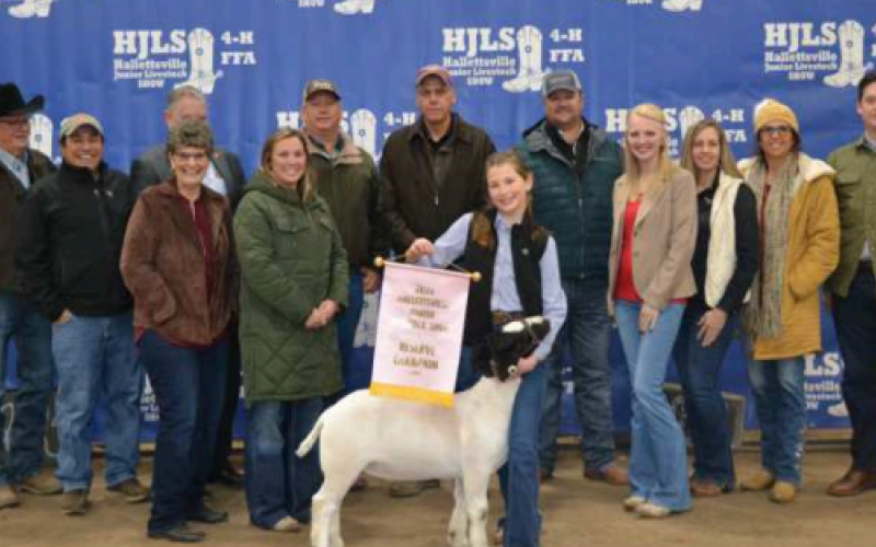 The Reserve Champion goat was exhibited by Morgan Felcman at the 61st annual Hallettsville Jr. Livestock Show held this past weekend. Felcman’s goat was purchased by the Peoples State Bank and Others buying group.