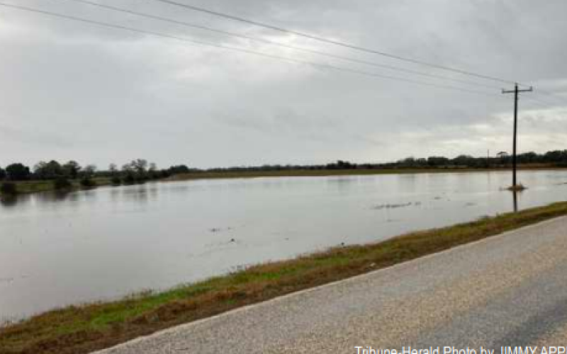 No, we weren’t out cruising the bay last week, despite what it looks like. That’s our story, at least, and it wouldn’t take much to get stuck right now. In point of fact, this land along FM 2314 is normally home to a hayfield rather than the roadside waterfront it became Monday, when more than 9 inches of rain fell over the weekend. In so doing, it set the bar for the rainiest January on record, NWS observer Larry Rothbauer reported, with 10.90 inches recorded for the month.