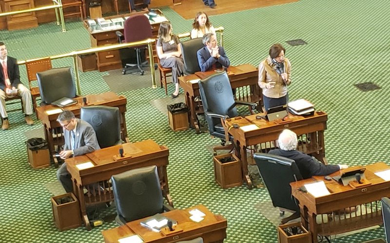 The Senate Floor at the State Capital in Austin