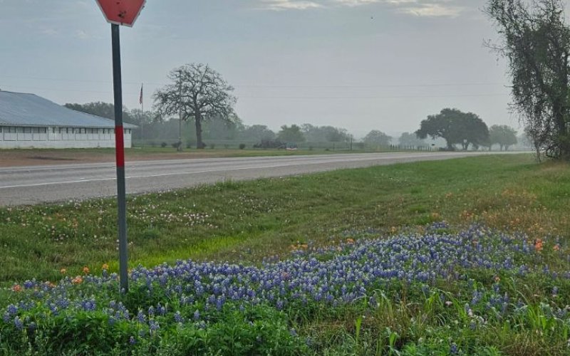 Spring in Lavaca County, Photo by Jennifer Horecka