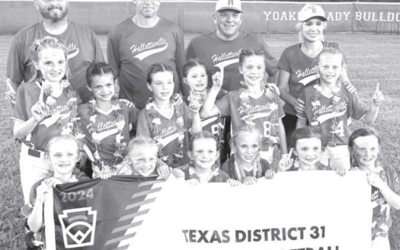 The Hallettsville 8s came up short in an attempt to win the 8U District 31 title. In the back row, from left, are manager David Halata Jr. coaches Scott Rainosek, Matt Mikes and Jessica Hanslik. Contributed photo