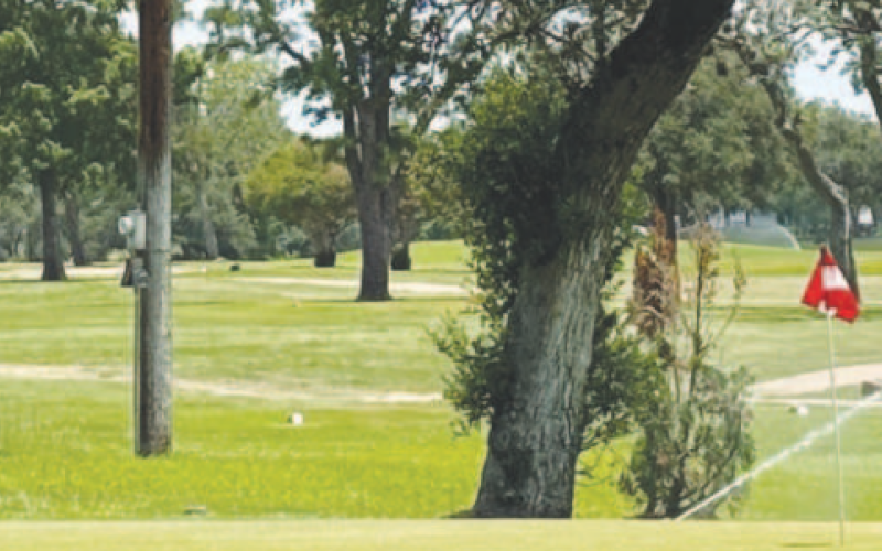 The Yoakum Municipal Golf Course.
