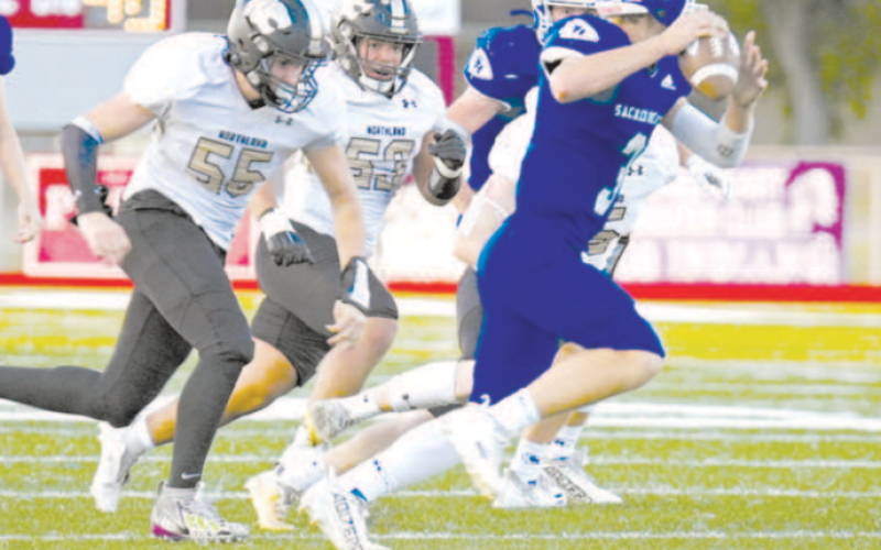 Andrew Steffek returns at quarterback for the Indians. Chuck Grafe/Tribune-Herald