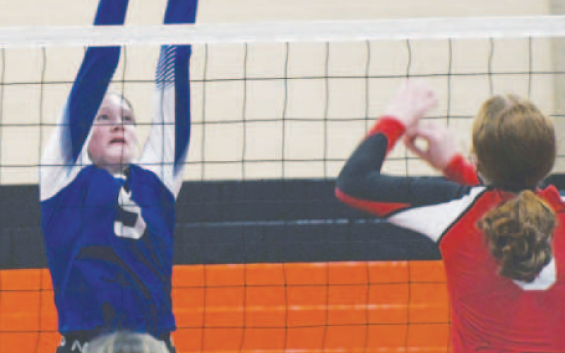 Madie Svec (5) tries to block a Lady Cougar attack. Photo by Mark Lube.