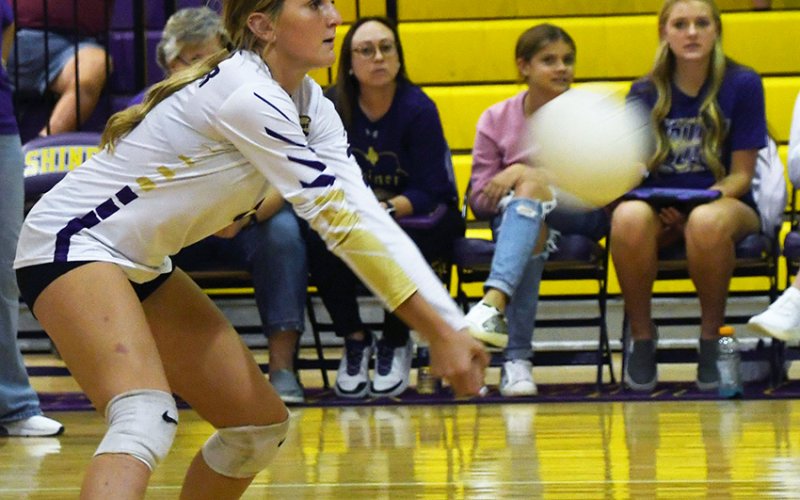 Jo Caka receives a Lady Lion serve . Photo by Mark Lube.