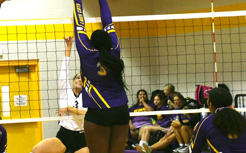 Shiner volleyball