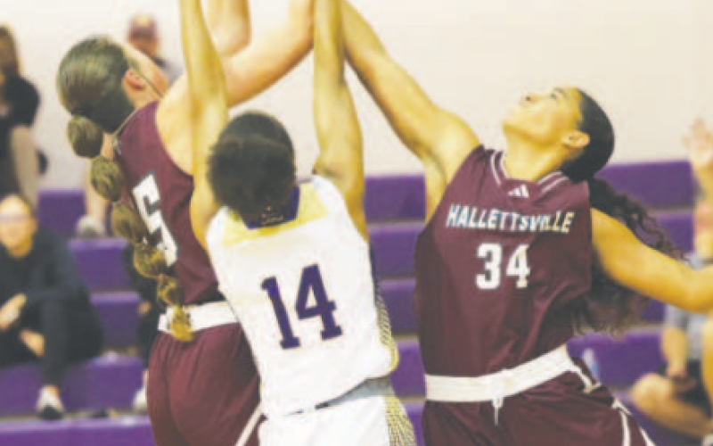 Jans Henke (5) Haven Johnson (34) vie for a rebound. Chuck Grafe/Tribune-Herald