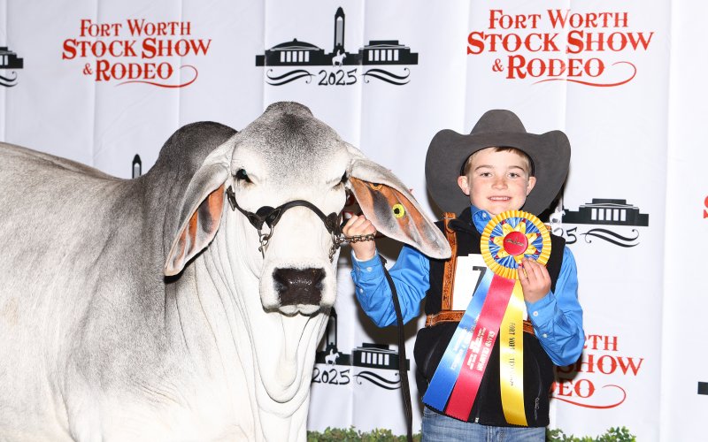 Kaston Tipp is shown with his heifer, Miss TR Candy 977.