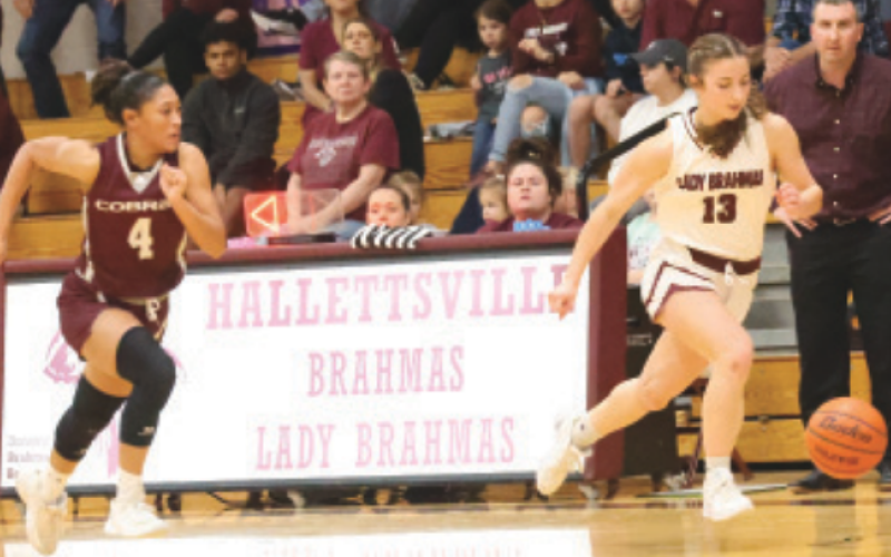 Addison Matula (13) makes a steal with Industrial’s Deziree Evans in pursuit. Chuck Grafe/Tribune-Herald