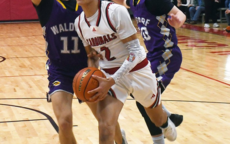 The Cardinals were bi-district champions and area finalists. Photo by Mark Lube.