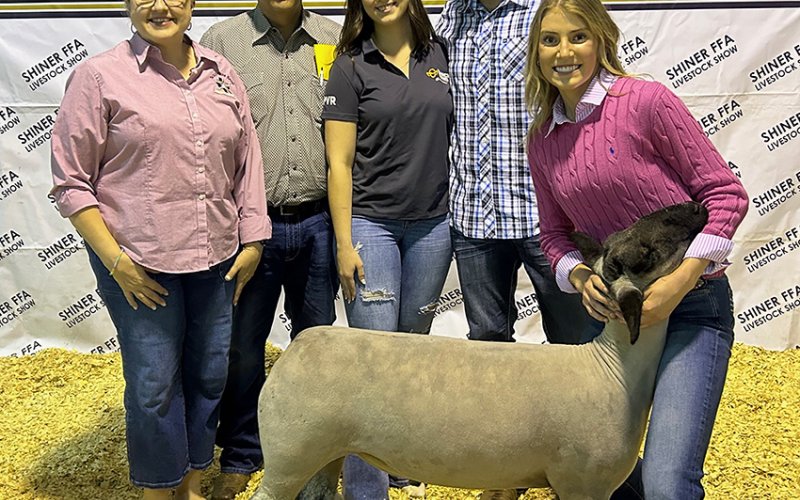 Grand Champion Lamb  - Exhibited by Adelynn Siegel
