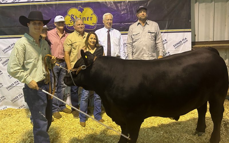 Grand Champion Steer  - Exhibited by Preston Todd
