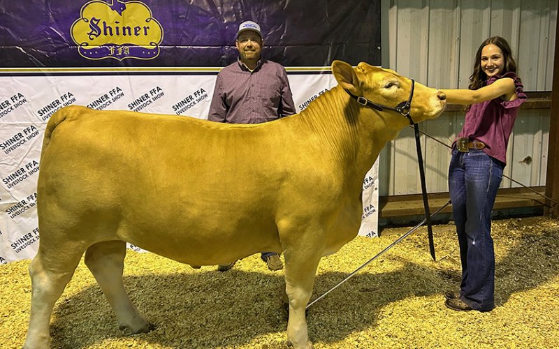Reserve Champion Steer  - Exhibited by Erin Pustka