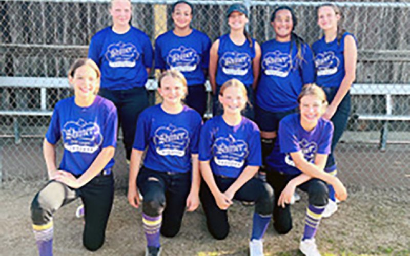 Front row from left are  Dawn Bishop, Reese Lyons, Payton Malinovsky and  Ally Trojak. Back row from left are Charlotte Hairell, Kylie Perkins, Addison Ulcak, Patricia Price and Paisley Todd. Photo courtesy of Michelle Price.