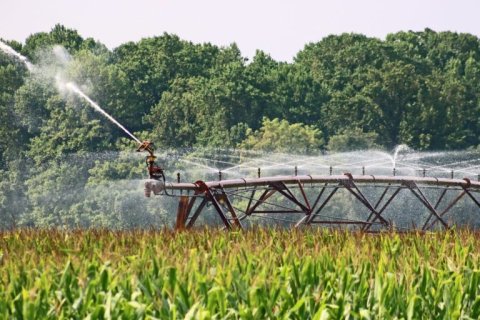 The courts, not a regulatoruy agency, hold sway over question of Texas water rights, the Texas Supreme Court recently reaffirmed.