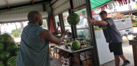 Thes boys know about thumping a melon, and watch for them in the Grower's Big Melon Contest on Thursday evening.